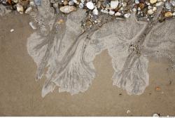 Photo Textures of Grounds